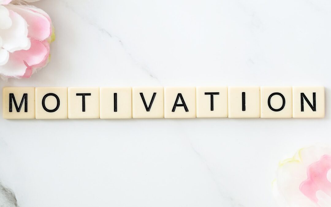 Motivação = Motivo + Ação
