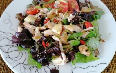 Salada de Verão com Frango